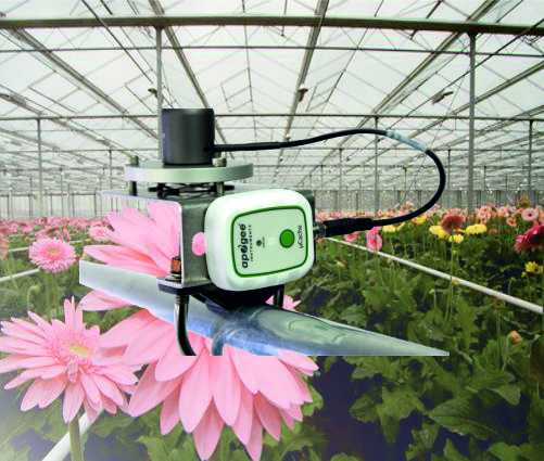 Media.Category.ImageAlternateTextFormat