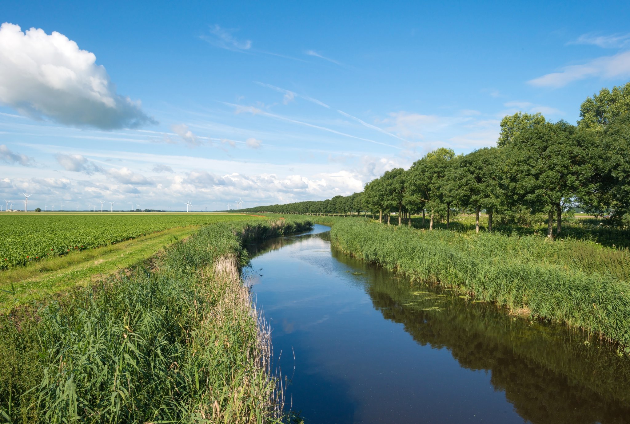 Bodemvochtigheid meten in de glastuinbouw 