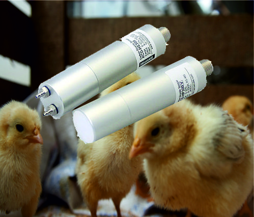 Media.Category.ImageAlternateTextFormat