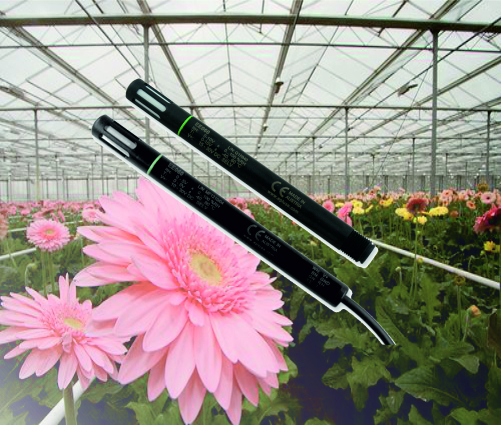 Media.Category.ImageAlternateTextFormat